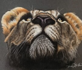 "TIGER #2", Artist - Susan McClain