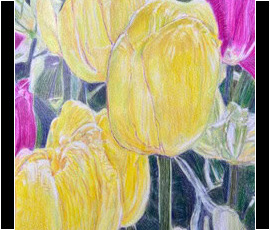 "Spring Beauty” , Artist - Helen Siegel