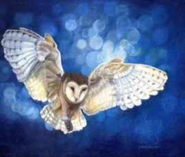 "Out of the Blue", Artist - Susan Morris