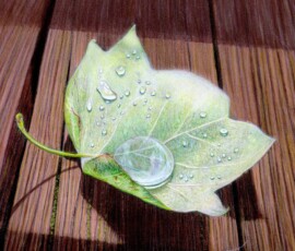 "Simple Wonder", Artist - Susan Morris