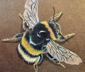 "Bee 2025", - Artist Tina Wykes
